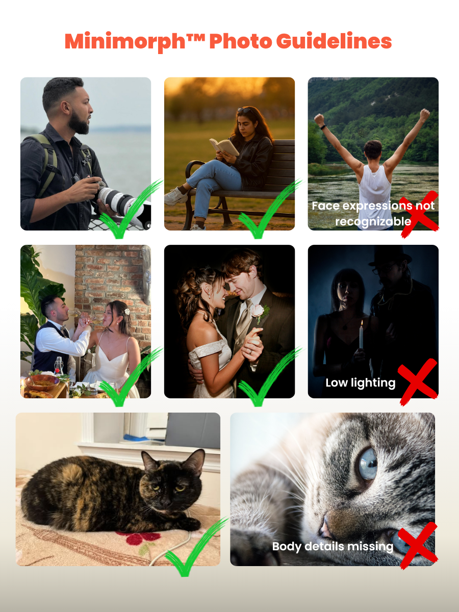 Minimorph Photo Guidelines